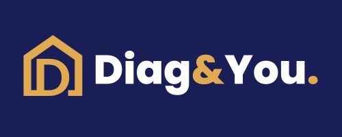 DIAG AND YOU Logo